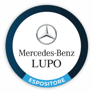 Tondino Mercedes Lupo